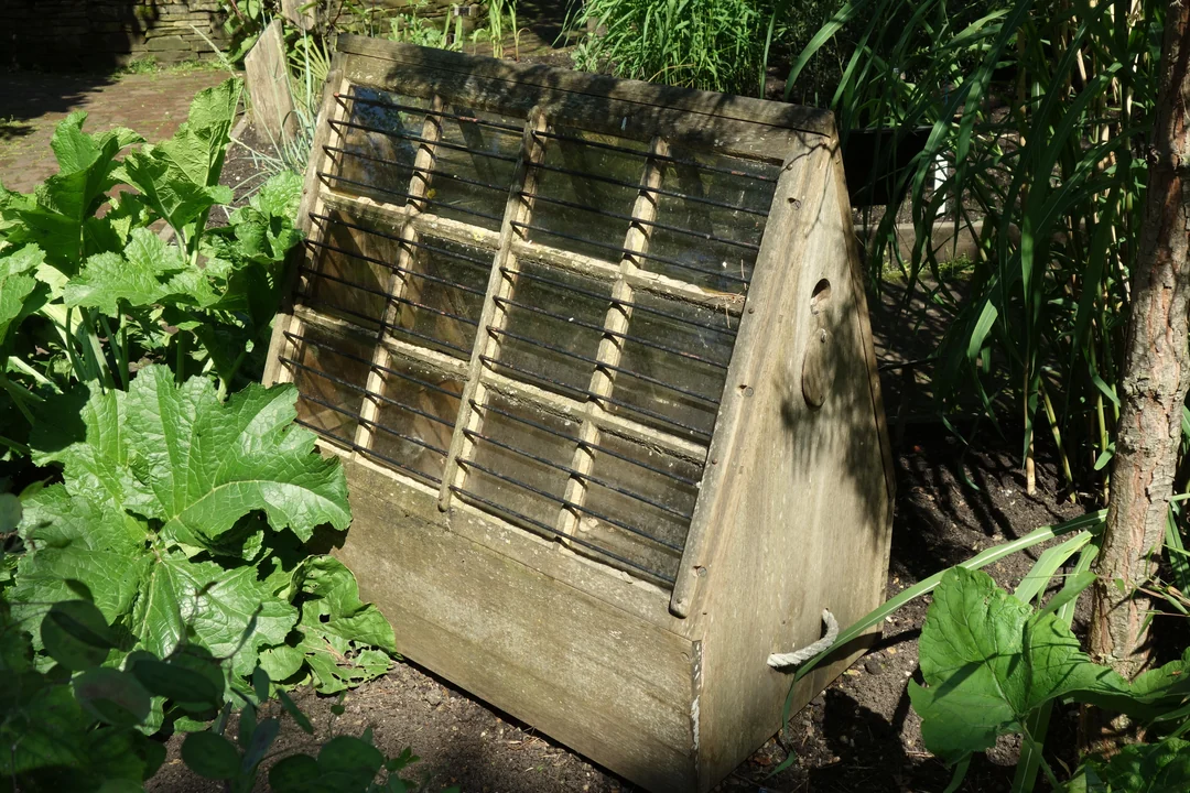 Ein moderner Wardian-Case-Schaukasten im Chelsea Physic Garden: Pflanzen in einem verglasten Holzrahmen.